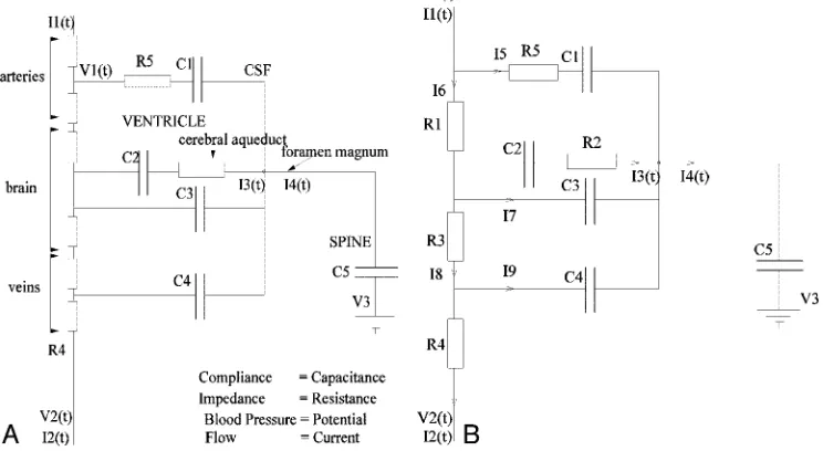 Fig 2. A, The electrical equivalence model derived for the anatomic model shown in Fig 1.B, The simplified equivalent circuit after removal of redundant components.