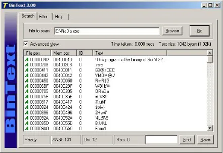 Figure 12: RaDa strings obtained through BinText