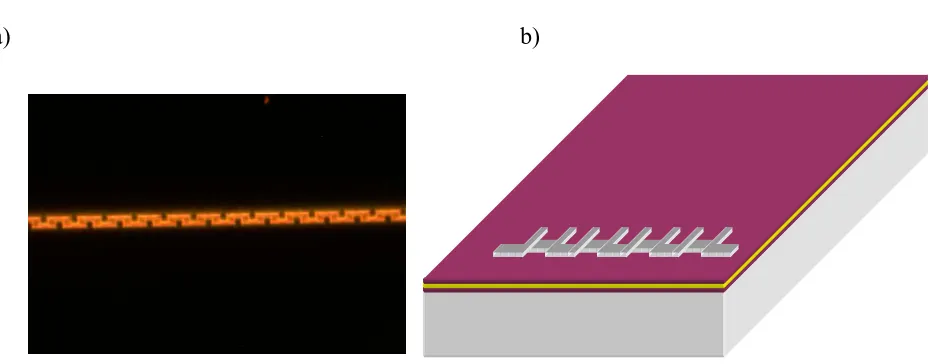 Figure 1 a) Corrugated pattern in PMMA, on Au, on PMMA, on quartz. b) Cartoon of 