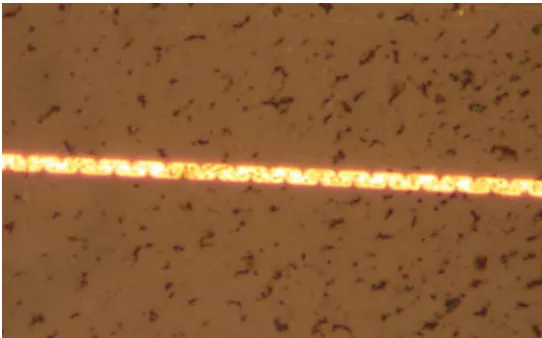 Figure 3 Optical microscope image of gold-filled corrugated trench in quartz. 