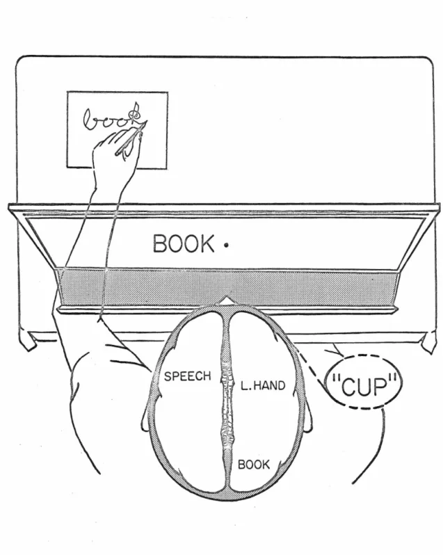 Figure  2.  An  example  of  left  hand  writing  to  a  left  field 