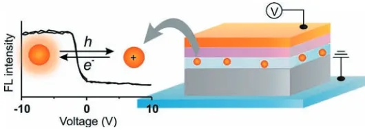 Figure 3.9.  Novel conﬁguration for measuring transport properties relevant to OLEDs. Fluorescence-voltage spectroscopy allows 3D mapping of localized charging/discharging energetics and kinetics in a functioning devices (courtesy of P