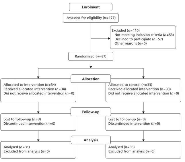 FIGURE 1 Consolidated Standards of Reporting Trials (CONSORT) 2010 flow diagram.
