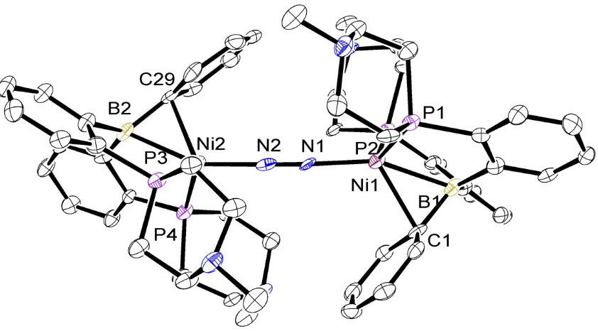 Figure 3.1: ORTEP representation of [(DP*BPh)Ni]2(N2), H atoms have been omitted for 