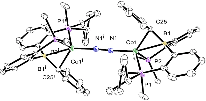 Figure 2.1: ORTEP representation of the N2 bridged dimer generated by inversion symmetry 