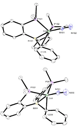 Figure 2.2: ORTEP representations of terminal N2 adducts from the asymmetric unit of 