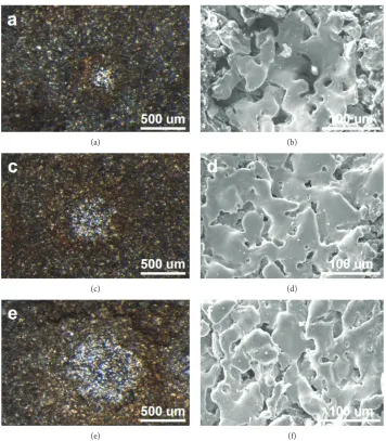 Figure 6: Ablation craters from 20 consecutive laser pulses using 50 mJ (a), (b); 100 mJ (c), (d); and 200 mJ (e), (f)