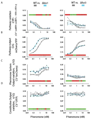 Figure S2.  Genes encoding the MAPKs reporters), stimulated for 3 h with the indicated pheromone doses