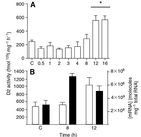 Fig. 4. Up-regulation of D2 mRNA and enzyme activity after hypo-osmotic stress. (A) D2 enzymatic activity from the values are means ± s.e.m