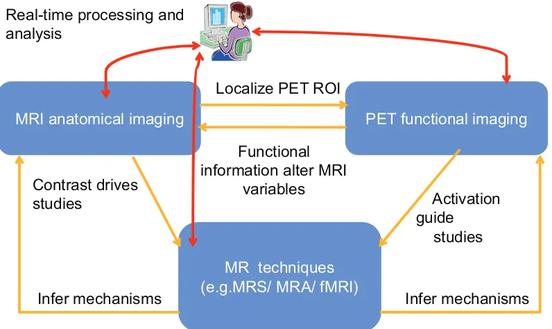 Figure 2.4: Real-time paradigm for PET/MRI studies.