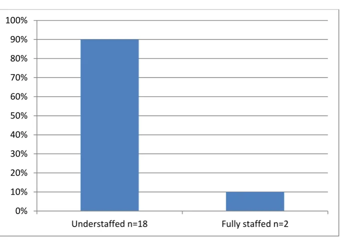 Figure 1: Current staffing levels 