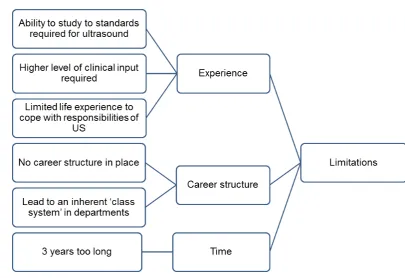 Figure 9: The direct entry undergraduate model I – Likely limitations 