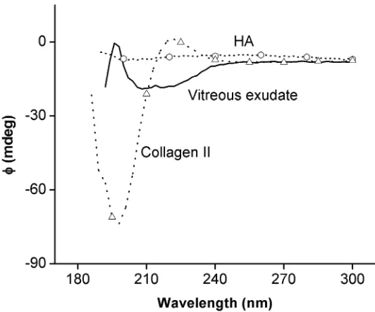Figure 10. Circular dichroism spectrum of conition C exudate compared with spectra of collagen type II and HA standards at room temperature