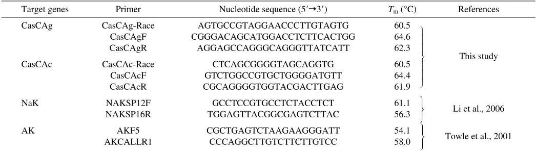 Table 1. Nucleotide sequence of Callinectes sapidus specific primers used for amplification of carbonic anhydrase isoforms,Na+/K+-ATPase -subunit and arginine kinase