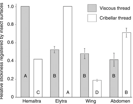 Table 4. Insect surface features (mean ± 1·s.e.m.)