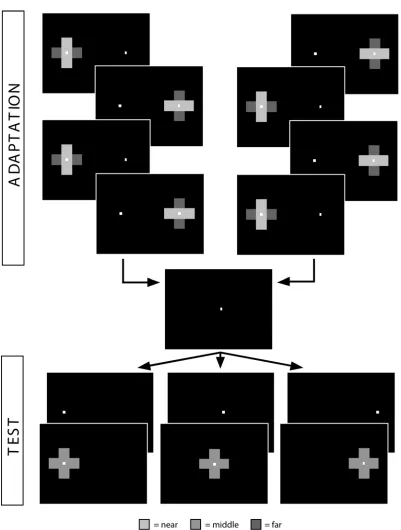 Figure 2.2: The experimental paradigm.  The stimulus begins on either the right or the left