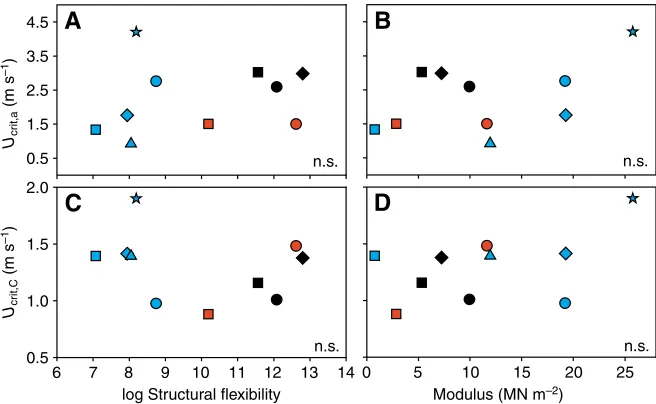 Table 5. Modulus (E) and structural flexibility of 10 rockyintertidal species examined in this study