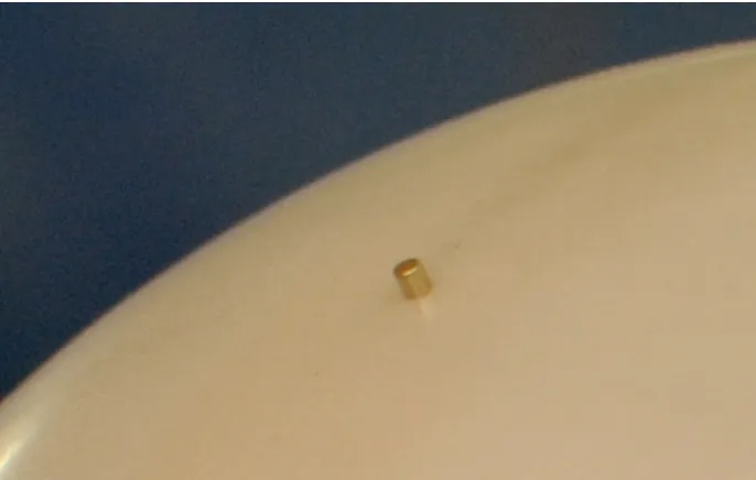 Figure 2.4: Stud with a width and height of k/ =D.0 01, held in place with a magnet that is inside of thesphere.