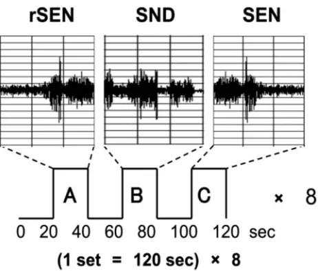 Fig 1. A, reverse sentences (rSEN); B, identifiable nonvocal sounds (SND). C, sentences(SEN).