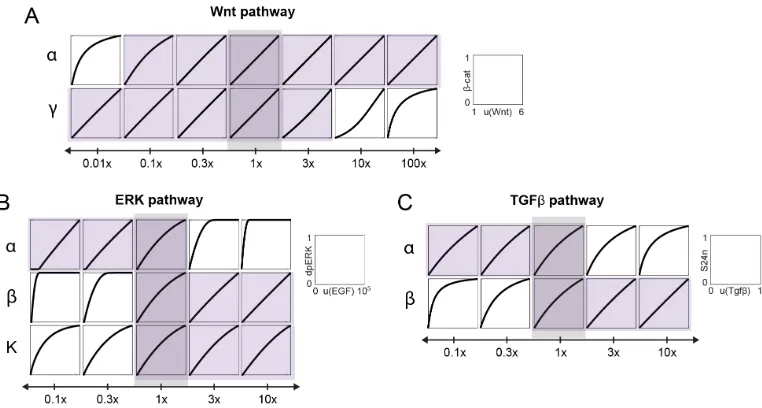 Figure 2.5: Linear signal transmission occurs over a range of parameters in themodel. In this analysis, the parameter groups in each model were varied as in-dicated e.g., 3x is 3-fold increase, 0.3x is 3-fold decrease