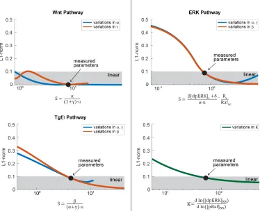 Figure 2.6: The requirements for linear signal transmission in the Wnt, Tgfβ, andERK pathways