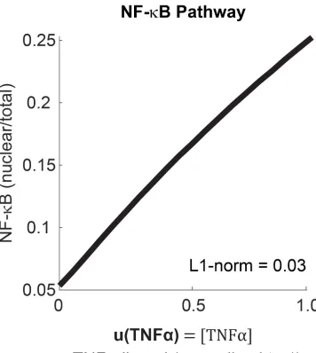 Figure 2.7: Numerical simulation of the input-output relationship of the NF-κBpathway