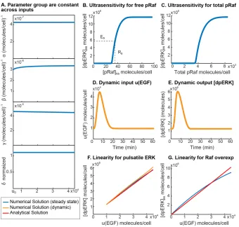 Figure S2.1: Model simulations for the ERK pathway.(A)in the ERK model are constant to within 10%, over the physiologically relevantrange ofgroups.Section 3.(D)includes details of receptor desensitization [41]