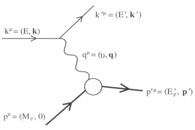 FIG. 3. Born-Level 1H(e,e'p). H ere k1', k 111 , p1', and p'~L are the 
