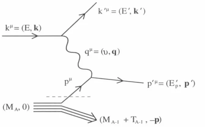 FIG. 4. A(e, e'p) in the Born-level PWIA. The part of the Feyn-