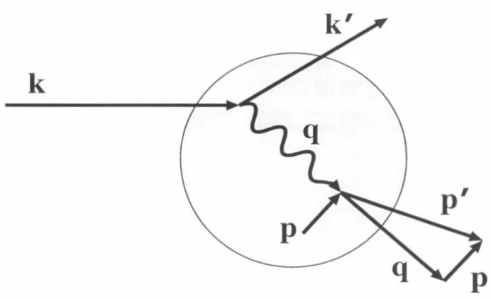 FIG. 5. Schematic A(e, e'p) showing effect of proton intial 3-mo-