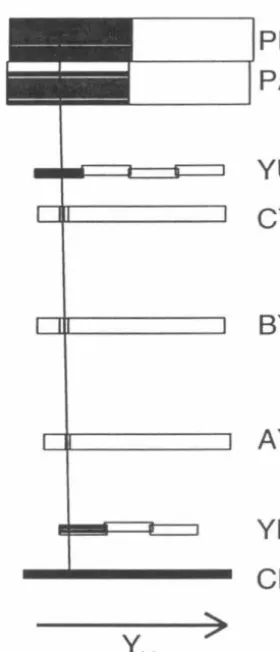 FIG. 31. Typical track in the 1.6 GeV jc spectrometer. Detec-