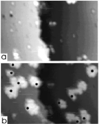 Figure 1.9. Occupied state STM images (215 A˚ × 215 A, 22 pA) of a H-Si(111) surface with isolated dangling bonds˚created by desorption activated with the STM tip (a) before styrene addition and (b) after exposure of 12 L of styrene