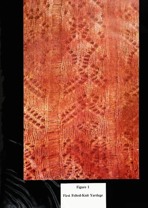 Figure 1First Felted-Knit Yardage