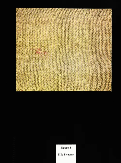 Figure 5Silk Sweater