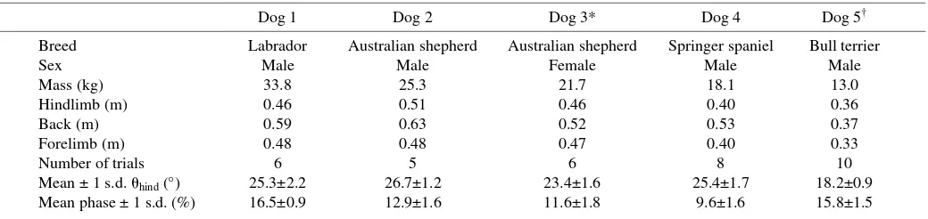 Table 1. Morphology and key kinematic variables for the five dogs