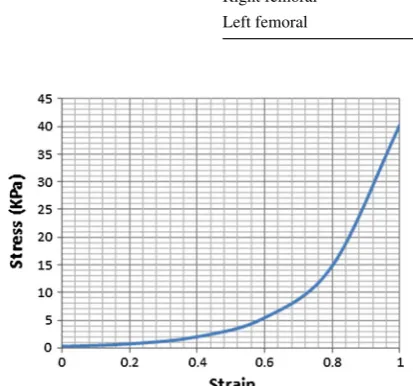 Fig. 4  Speed camera application for measuring deformation of the arterial wall in vivo experiment