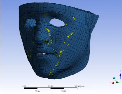 Figure 24.2: General face model: wedge elements are yellow and hexahedral elements are blue; From Nazari et al.[45]