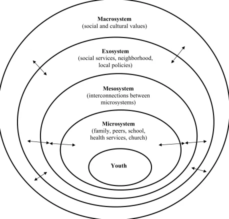 Figure 2. Context Component of Bioecological Model of Human Development (PPCT) 
