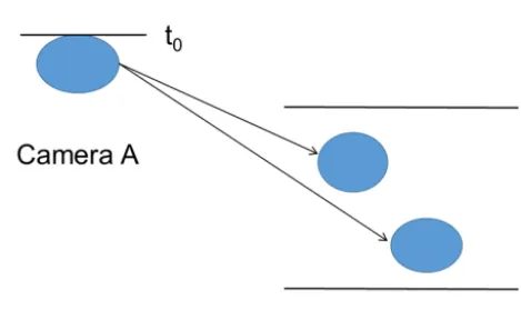 Figure 1. A snowﬂake observed by a 2DVD from two views. The thick black line is the contour of the snowﬂake and the thin black linesshow the holes inside the snowﬂake