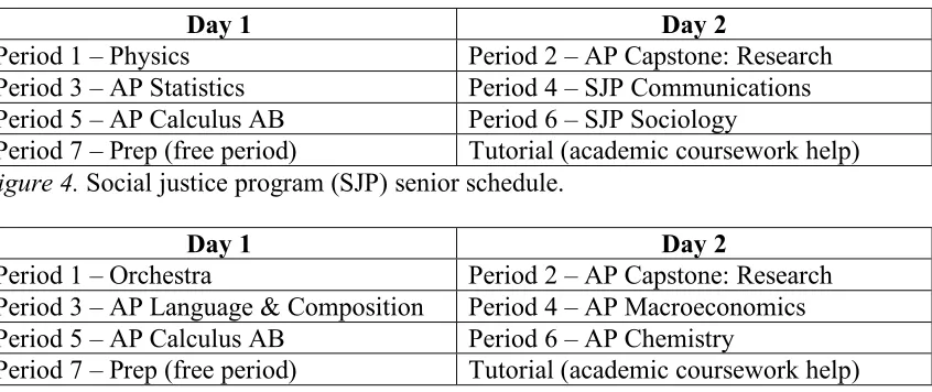 Figure 4. Social justice program (SJP) senior schedule.  