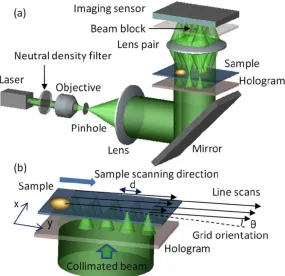 Figure 4.3. An example of a wide FOV microscope based on a hologram generated focal spot array