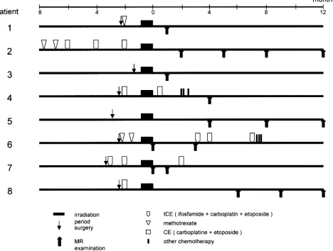 TABLE 1: Clinical characteristics and therapeutic regimens