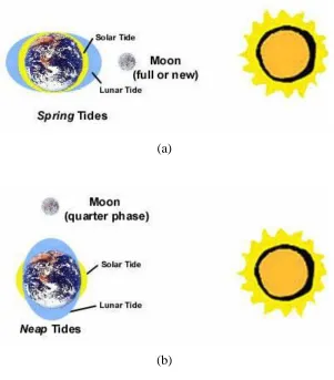 Figure 2.2: Actual tide at ocean for (a) The Spring Tide and (b) The Neap Tide 