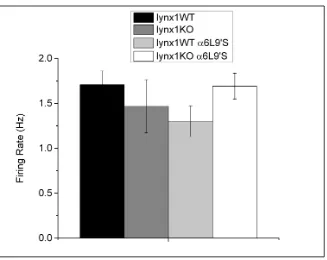 Figure 2.4: Average firing rate of DA neurons in current clamp.  Data are from 14 lynx1WT cells, 12 lynx1KO cells, 21 lynx1WT α6L9’S, and 22 lynx1KO α6L9’S cells