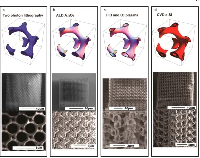Figure 2.2: Fabrication procedures of gyroid photonic crystals. (a) Two-photonlithography to deﬁne a sacriﬁcial polymer scaﬀold of the gyroid structure.(b)Atomic layer deposition of Al2O3 to coat the polymer structure