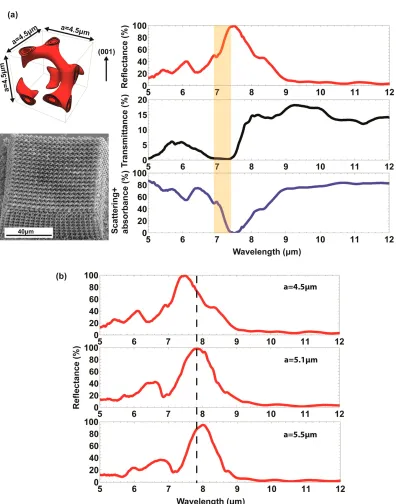 Figure 2.4: FTIR characterization of single gyroids. (a) Reﬂectance, transmittance,and scattering + absorbance from a single gyroid structure with unit cell size of 4.5µm and a total of 20 × 20 × 10 cells