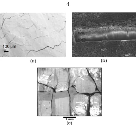 Figure 1.2: Cracks resulting from phase transformation. (a) SEM micrographs of polishedsurfaces of CsHsubjecting to cyclic electric loading [partially delithiated LiFePO2PO4 above the phase transition temperature [65]