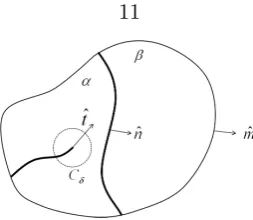 Figure 2.2: A body with a crack and a phase boundary.