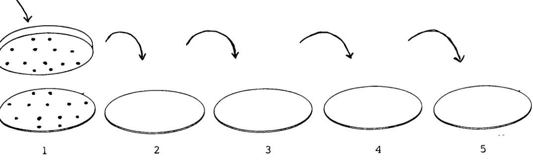Figure 5.Technique of Replica Plating