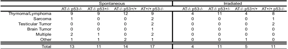 Table 1. Conversion frequency of carcinomas to papillomas for mice that lived at least 20 weeks 